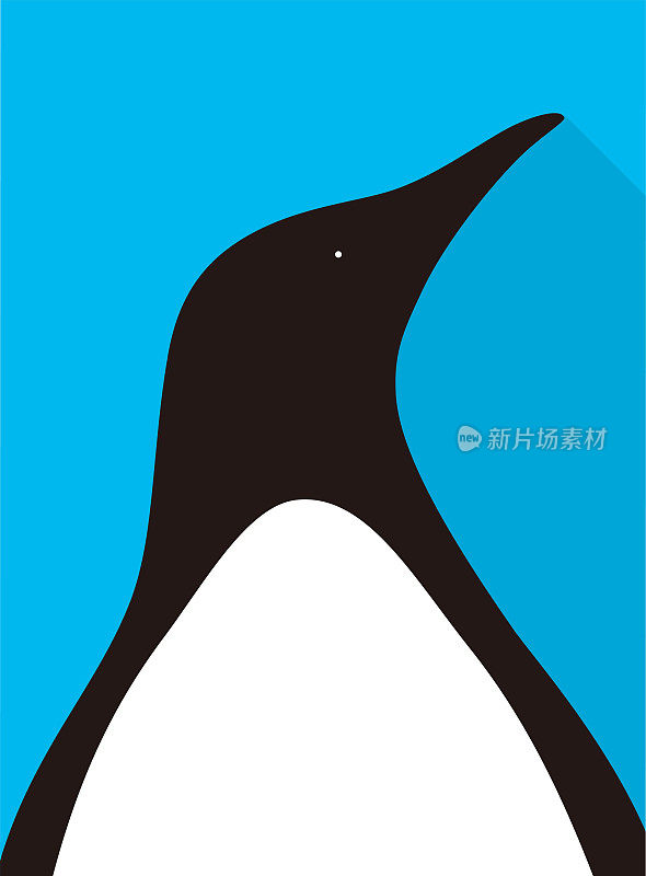 Penguin flat icon design, vector illustration